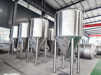 Fermenteur Conique Enrobé 1BBL 3BBL 5BBL 10BBL avec Roulement et Moteur pour Système de Traitement de l'Alcool de Microbrasserie