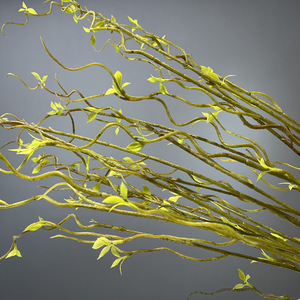Planta de plástico artificial, ramitas de árbol seco, ramas de <span class=keywords><strong>pino</strong></span> de sauce rizadas, marrón sin hojas para decoración navideña - Product Image 4