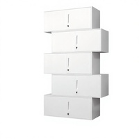 Archivador de Acero Desmontable Blanco de 5 Niveles con Cerradura, Gabinete de Almacenamiento para Documentos y Recibos