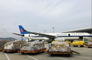 중국 ~ 아르메니아 익스프레스 항공화물 3-5 근무일 전체 물류 추적 특별 노선으로 빠른 배송 - Product Image 2