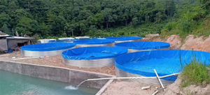 Garnalenvijvers Met Hoge Dichtheid, 2.85 Meter Hoge Gegalvaniseerde Staalplaat Kweekvijvers, Canvas Watertanks, Nieuw Type Visvijvers - Product Image 3