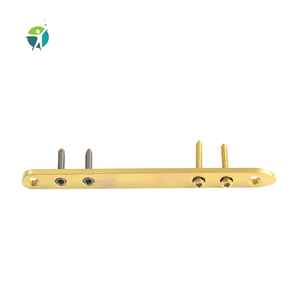 Prijsvriendelijke Chirurgische Titanium Veterinaire Orthopedische Trauma Implantaten <span class=keywords><strong>T</strong></span> Type Rechte Borgplaat - Product Image 4