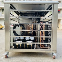 Machine professionnelle de fabrication de brique glacée, avec refroidissement directe, grand blocs de glace