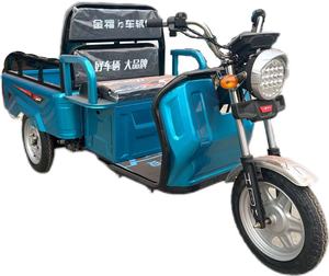 Triciclo de Pasajeros Abierto, 60V, 1000W, para Alquiler, Vehículo de Tres Ruedas - Product Image 5