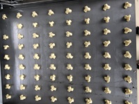 Commercial biscuit mouleuse rotative pour biscuit rotatif machine de moulage