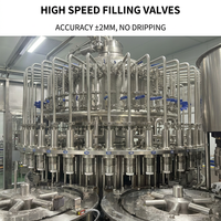 Machine de lavage, de rinçage et de remplissage de bouteilles entièrement automatique pour jus de fruits, thé et boissons, certifiée CE, de haute qualité