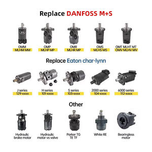 Moteur hydraulique professionnel personnalisé à faible vitesse et couple élevé 50 Nm, couple continu 2000 tr/min, déplacement 12 cm, 3000 - Product Image 2