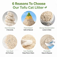 Litière pour chat en tofu naturel, agglomération rapide, faible poussière, contrôle des odeurs, écologique, jetable aux toilettes, biodégradable, en vrac, OEM, vente en gros