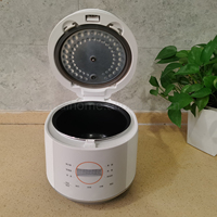 Nouveau produit 2026 : Mini cuiseur à riz 1L avec cuve intérieure en céramique, revêtement antiadhésif, forme hémisphérique, 400W, fonction maintien au chaud, tasse doseuse électrique et minuteur