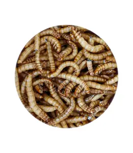 Supporto su misura di alta-di nutrienti, alto contenuto di proteine di congelamento-mealworms secchi per gli uccelli