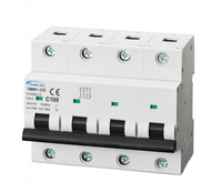 Disjoncteur miniature 2P 80~100A TMM1-125