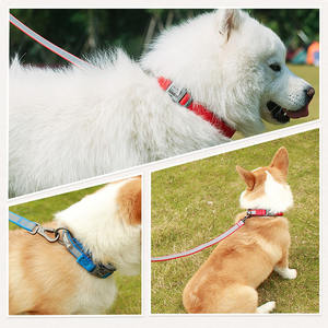 Atacado macio acolchoado ajustável reflexivo couro cão colar e coleira conjunto para cães pequenos a grandes - Product Image 5