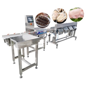 Máquina Clasificadora Automática de Acero Inoxidable 304 para Frutas, Carne, Pollo y Pescado, con Cinta Transportadora y Báscula, Velocidad de 150 piezas/min - Product Image 5