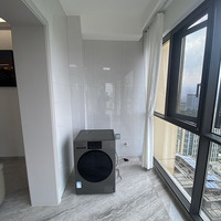 Sunrise Factory Balcon gris Armoire à linge Solution de blanchisserie peu encombrante Armoire d'évier à linge Armoire de balcon pour hôtel