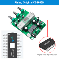 Module d'amplificateur de puissance numérique mono canal 120W pour système audio DIY, amplificateur de puissance audio de scène de classe D