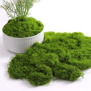 Base de mousse artificielle décorative 10 cm et moins, en tissu, pour la décoration de plantes vertes, aménagement paysager, bonsaï, bricolage et pelouse - Product Image 1