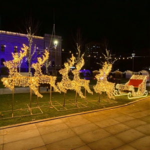 Traîneau de Noël <span class=keywords><strong>lumineux</strong></span> grandeur nature avec <span class=keywords><strong>rennes</strong></span> <span class=keywords><strong>et</strong></span> traîneau éclairés pour 6 adultes / Traîneau de Noël <span class=keywords><strong>lumineux</strong></span> avec <span class=keywords><strong>rennes</strong></span> <span class=keywords><strong>et</strong></span> traîneau éclairés grandeur nature - Product Image 6