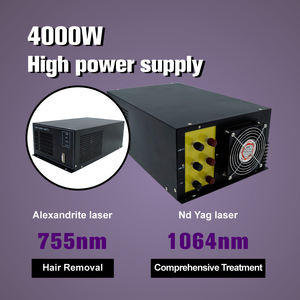 เครื่องเลเซอร์กำจัดขนเพื่อความงาม2027 30% 1064nm ใช้ในการส่งเสริมการขาย - Product Image 3