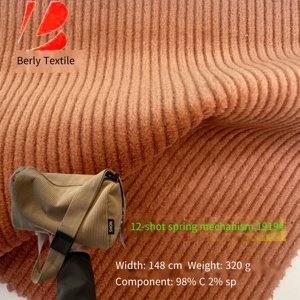 1919 12-แพทช์กำมะหยี่ผ้ายืดหยุ่นเหมาะสำหรับวัสดุรองเท้า, กระเป๋า, เสื้อผ้า, เสื้อ, เสื้อโค้ท, กางเกงฯลฯมีในสต็อก - Product Image 1