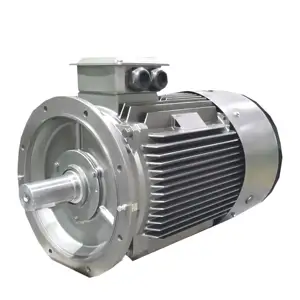 75KW 990RPM IC416 Cooling Frequency Conversion 3 Phase Motor