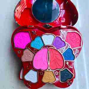 Mlle <span class=keywords><strong>Wendy</strong></span> personnalisé multicolore fard à paupières palette de style Chinois kit de fard à paupières nacré mat - Product Image 6