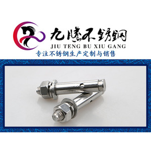 Chevilles d'expansion en acier inoxydable robustes pour l'installation de climatiseurs et de garde-corps - Product Image 6