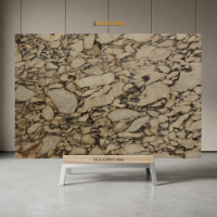 Dalles de marbre poli à motif maillé brun naturel, design minimaliste, pour murs de restaurants, cafés, boutiques et espaces commerciaux