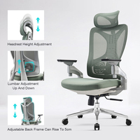Fauteuil de Bureau Ergonomique à Dossier Haut et Confortable, Entièrement Réglable en Maille Pivotant pour Cadre Dirigeant
