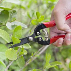 Cisailles ultra-légères pour le jardinage, l'élagage des arbres, sécateurs, ciseaux pour le jardinage, l'alpinisme et les plantes, travail pour pépinière - Product Image 3