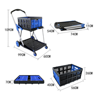 Chariot à provisions pliable en plastique mobile à deux étages Chariots à main de rangement avec étagère mobile Chariots avec caisse de rangement