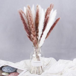 Top des ventes, Bouquet de fleurs de pompons séchés, petits bouquets d'herbe de Pampas séchés, décoration de mariage Boho, 45 <span class=keywords><strong>cm</strong></span>, 30, 60, <span class=keywords><strong>80</strong></span> pièces, L-DB - Product Image 2