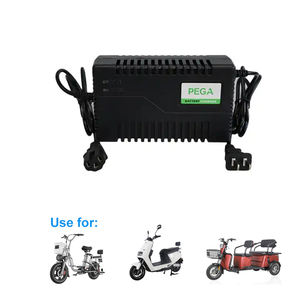 Cargador de batería de litio multifuncional de 36V y 24V para otras motocicletas Fuente de alimentación eléctrica Cargadores adicionales Adaptadores - Product Image 1