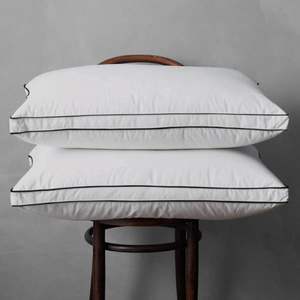 Inserts d'<span class=keywords><strong>oreiller</strong></span> Euro en coton <span class=keywords><strong>Percale</strong></span> blanche taille populaire 50x70cm duvet de canard plume motif solide <span class=keywords><strong>oreiller</strong></span> d'hôtel OEM - Product Image 1