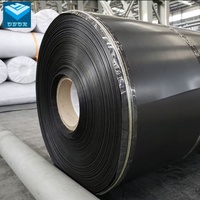 Vente en gros directe d'usine de géomembrane en HDPE pour l'aquaculture et l'élevage de crevettes