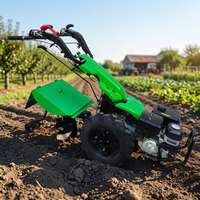 Motoculteur rotatif à moteur certifié CE BCS pour agriculteurs
