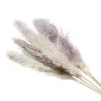Pampas — botte de roseaux des marais séchés à la main, 10 pièces, plantes décoratives, Style occidental, DIY, pour un cadeau de noël, pour faire un mariage