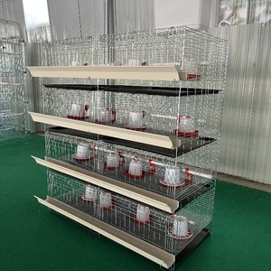 Éleveuse de poussins économique pour l'élevage de volailles et d'animaux, idéale pour les poussins de chair et les poussins de petite taille - Product Image 2