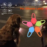 Accessoires lumineux pour la marche nocturne, pendentif clignotant pour chien de compagnie