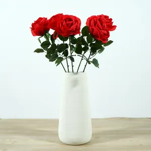 Bewaard Rose Bruiloft Decoratie Wit Rood Kleur Zijde Kunstmatige Rozen Bloemen