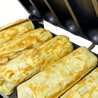 Rôtissoire à poulet électrique rotative à deux grilles pour la vente chaude de rouleaux de viande commerciaux