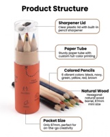 Crayons de couleur en tube avec taille-crayon intégré, 6 couleurs, mini, en bois naturel, hexagonaux, tube écologique en kraft, cadeau pour enfants, cadeau de fête, personnalisable OEM