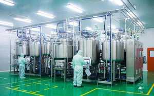 Caramelle Gommose OEM alle Vitamine B Integratore per il Sonno con Olio di Semi di Canapa Orsetti Biologici all'Olio di Canapa - Product Image 5