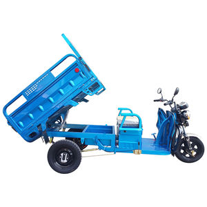 Factory EEC COC <strong>Electric</strong> Tricycle <strong>Trike</strong> 3 Wheel <strong>Motorbike</strong> for Farming Cargo Loading - Product Image 3