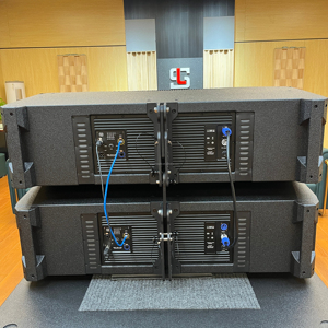 LS50 <strong>Professional</strong> Double Twelve 3-Way <strong>Line</strong> <strong>Array</strong> Speaker System for <strong>Large</strong> Concertpa System Speaker <strong>Professional</strong> Speaker - Product Image 3