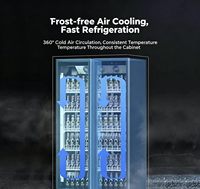 Réfrigérateur vitrine à double porte pour bar, congélateur commercial pour bière Sub Zero