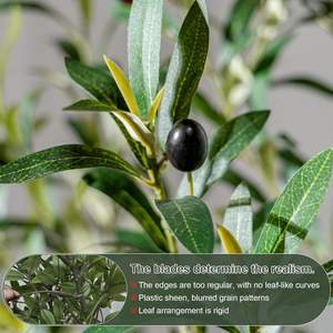 Arbre d'olivier artificiel <span class=keywords><strong>avec</strong></span> un tronc <span class=keywords><strong>en</strong></span> résine réaliste et des feuilles vertes pour la décoration intérieure du bureau, du salon, <span class=keywords><strong>avec</strong></span> un <span class=keywords><strong>pot</strong></span> blanc - Product Image 2