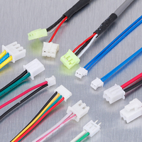 Pemasok OEM disesuaikan TR301 1007 24AWG 20CM KF2510 2 PIN 2.54MM PITCH 2 P konektor kabel Harness kawat