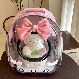 Large Capacity Eco-Friendly Outdoor Anti-Scratch Dog Cat Bird <b>Small</b> Animal <b>Backpack</b> Cute Transparent Pet Carrier Zipper Made - Product Image 3