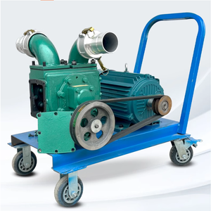 Pompa Autoadescante in Acciaio Inox ad Alta Prevalenza per Fosse Settiche, Acque Reflue, Laghetti per Pesci, Fanghi e Letame Suino - Product Image 3