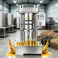 Presse à huile hydraulique mini entièrement automatique, petit équipement de fabrication d'huile, acier inoxydable, haute productivité, pressage à froid et à chaud